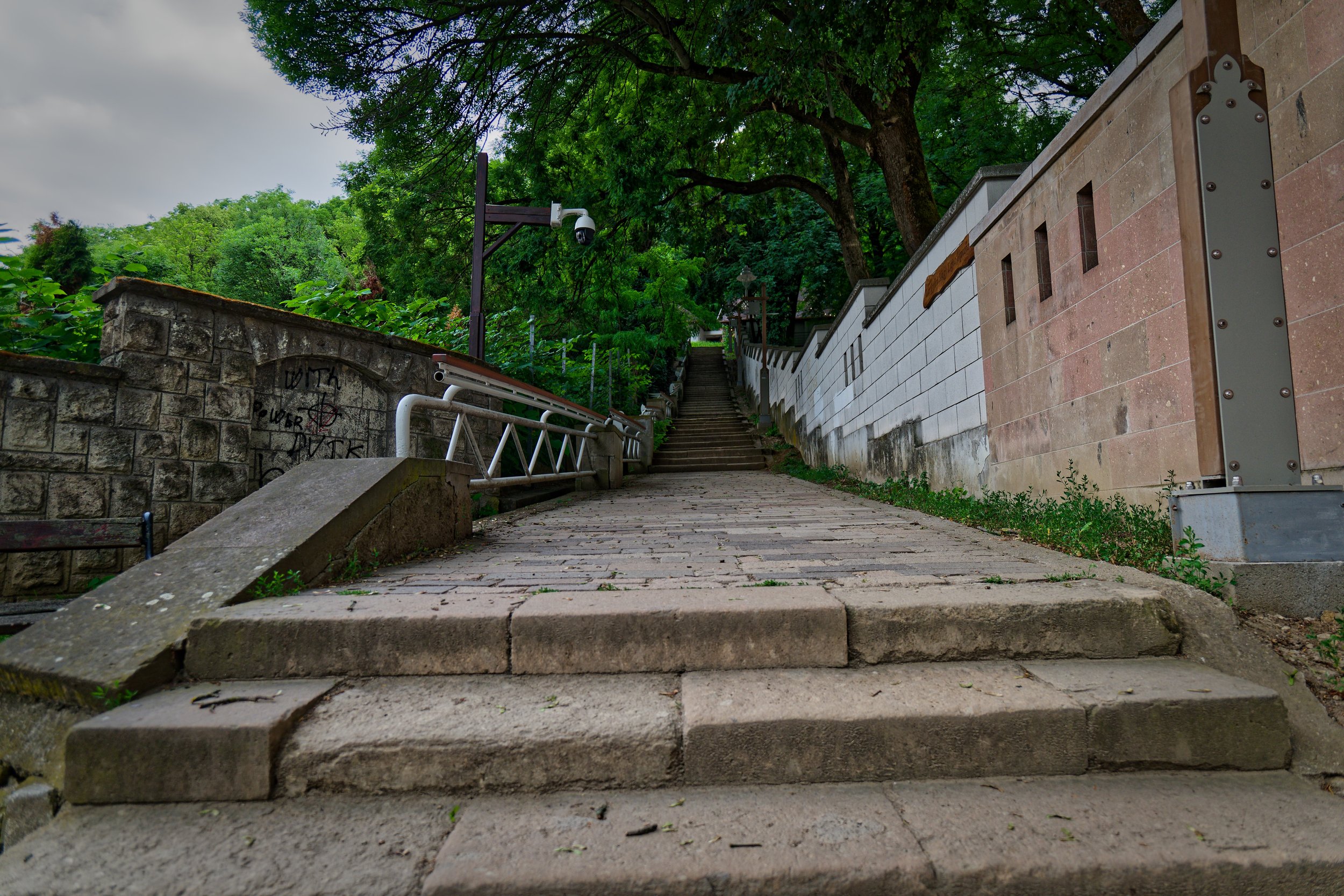 P1000395_DxO.jpg