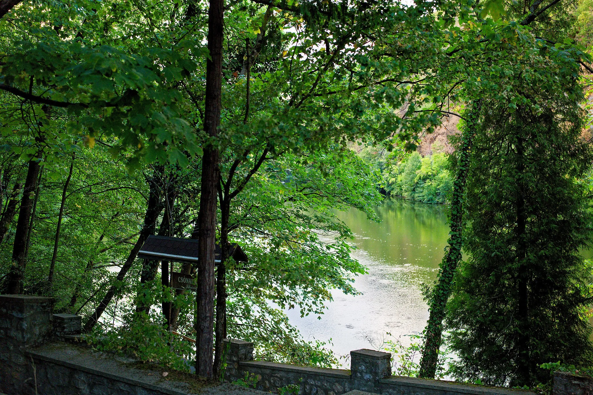 P1001051_DxO.jpg