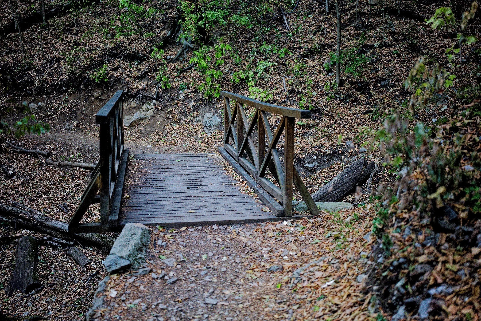 P1000987_DxO.jpg
