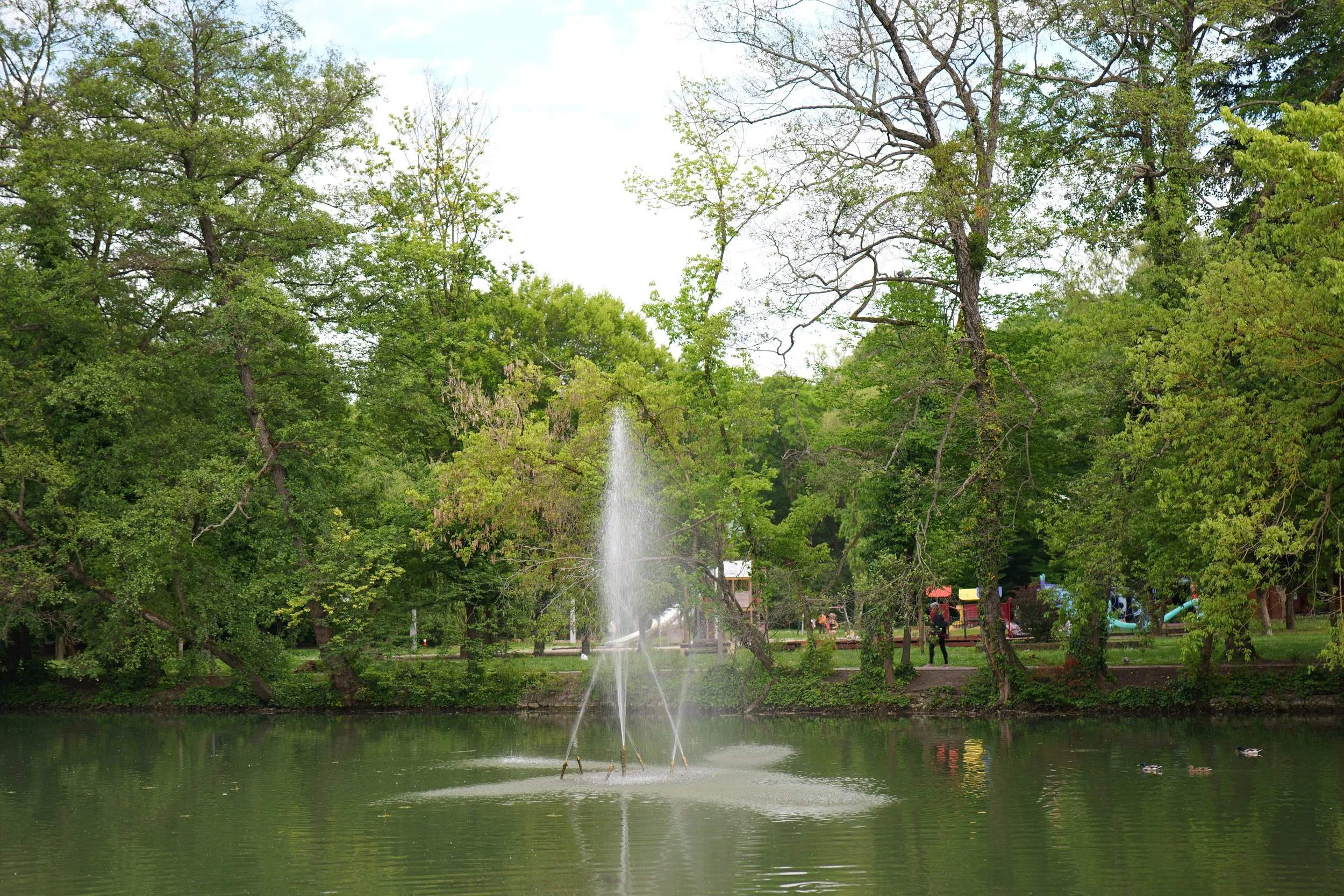 P1000097.JPG