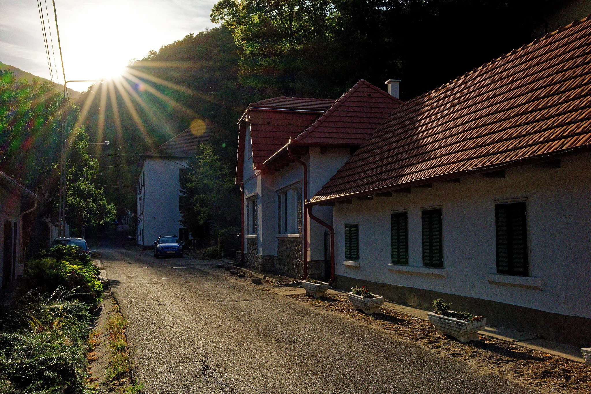 P1000976_DxO.jpg
