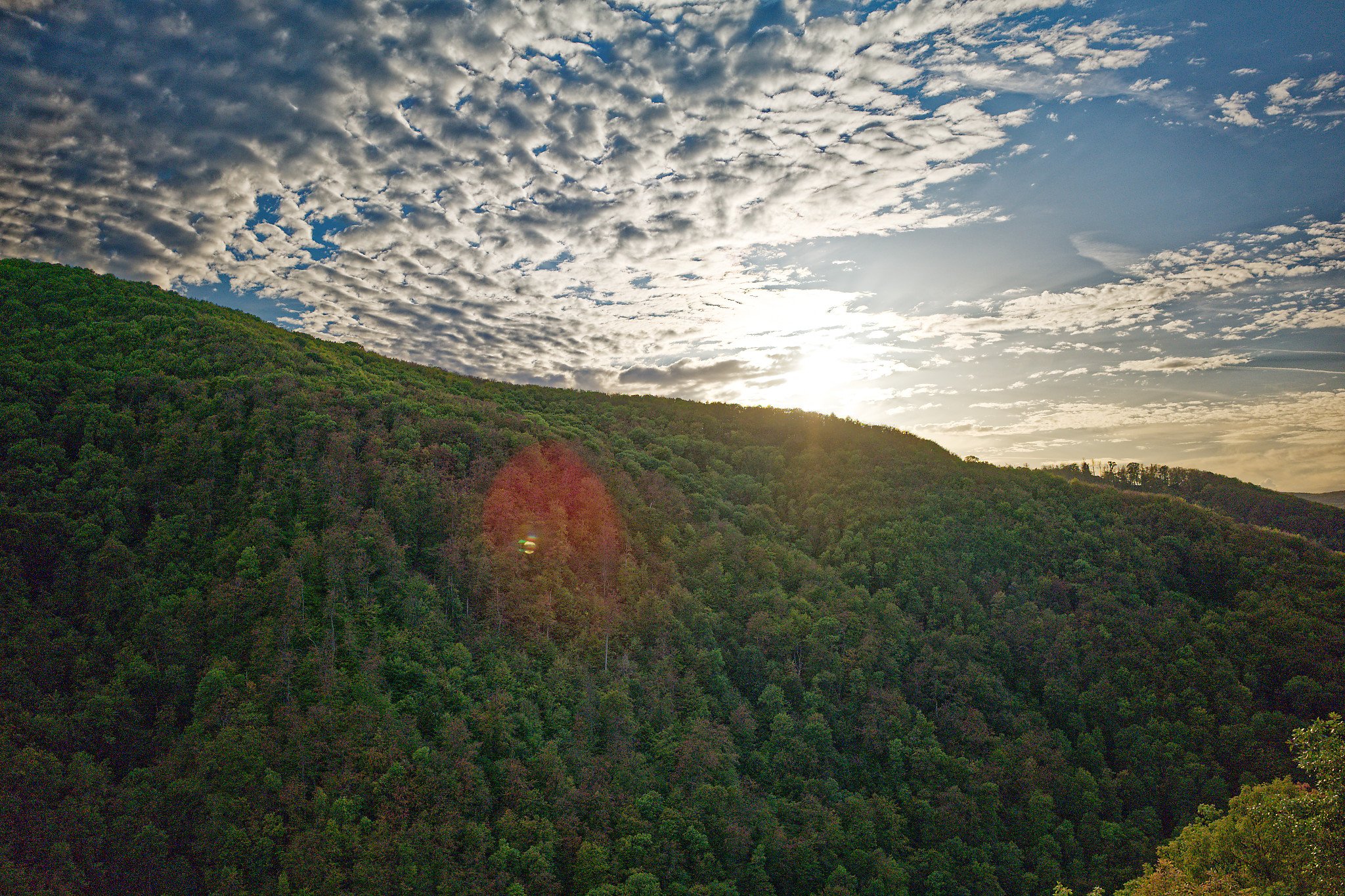 P1001000_DxO.jpg