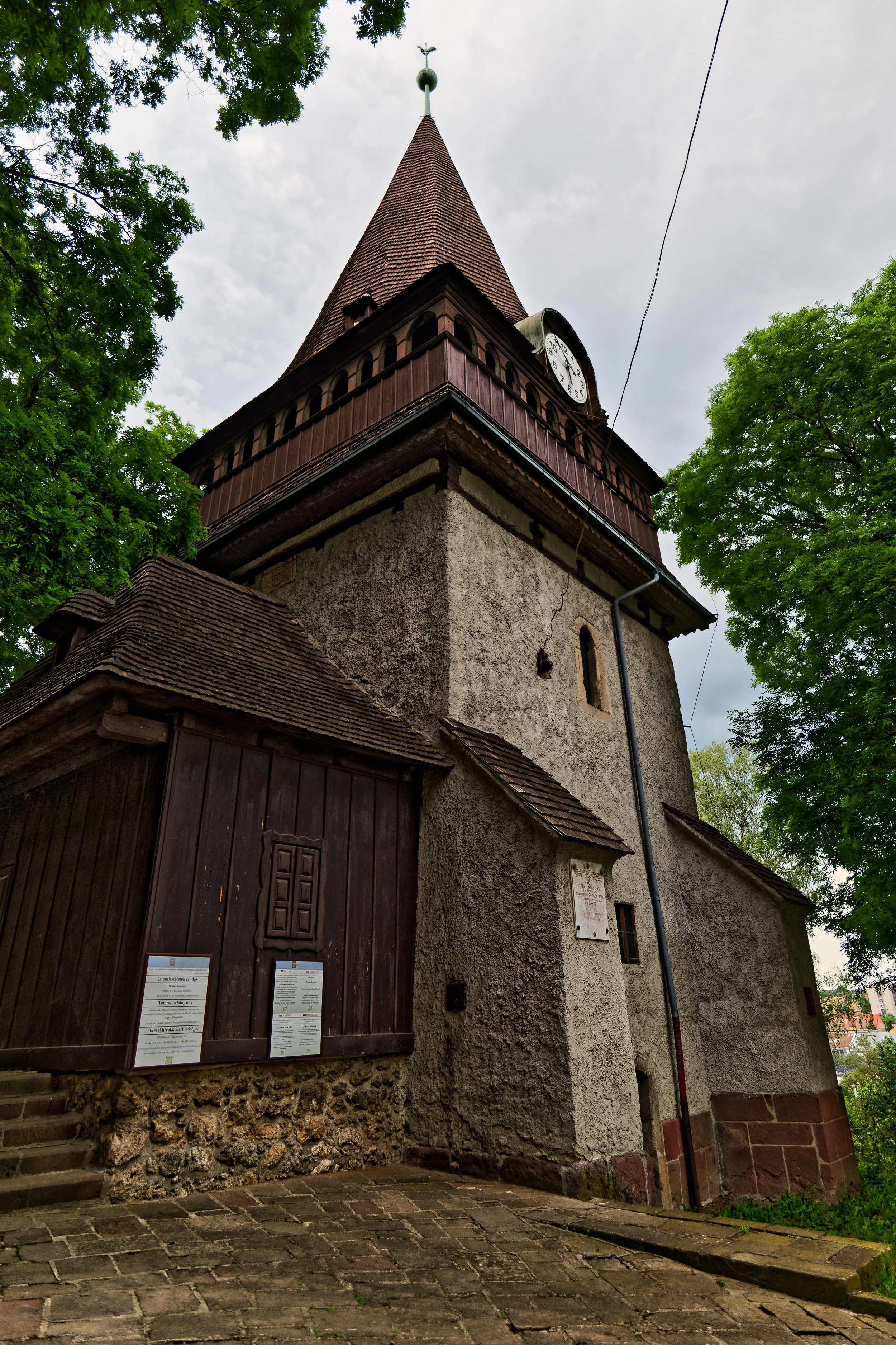 P1000400_DxO.jpg