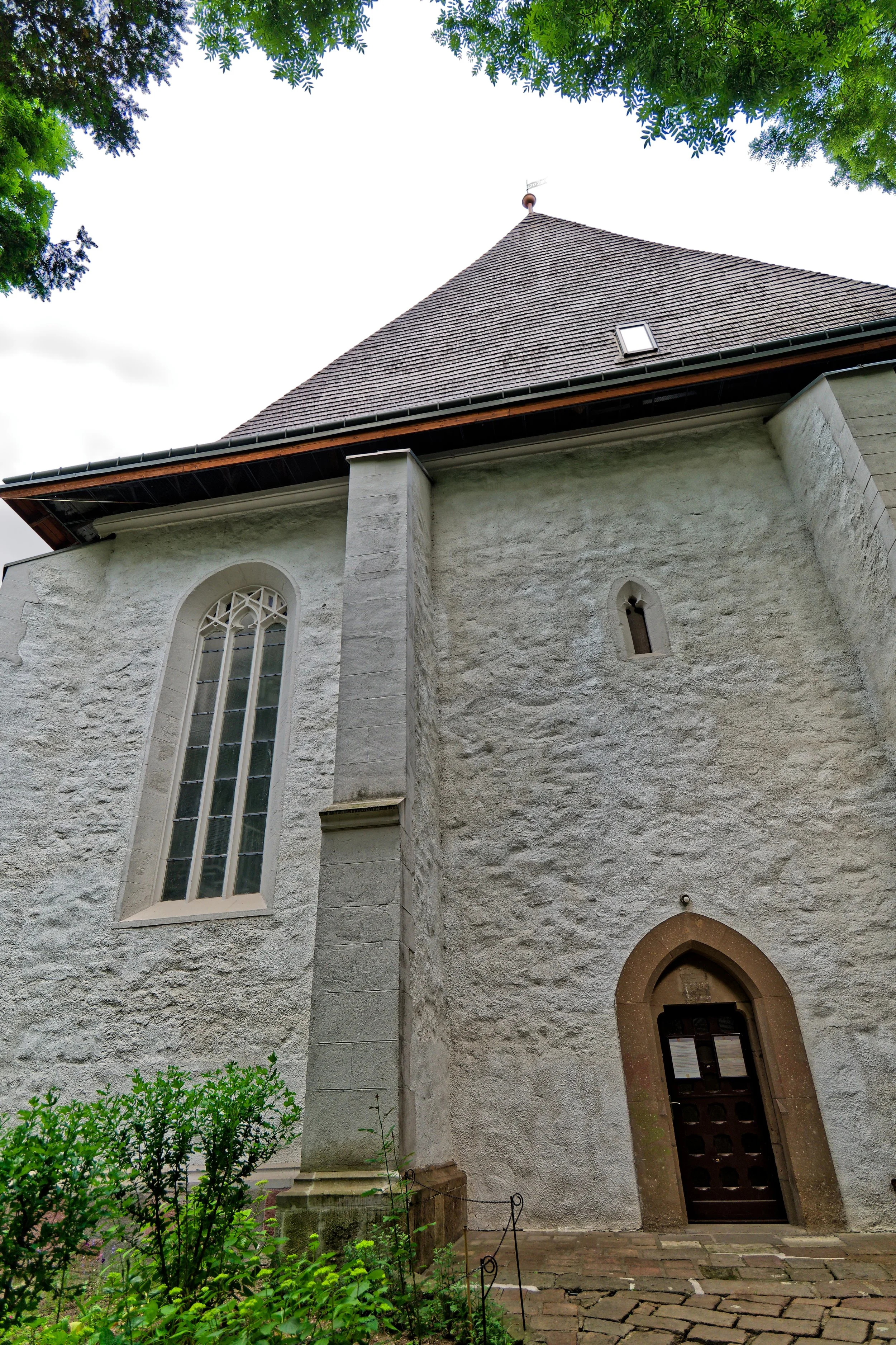 P1000399_DxO.jpg