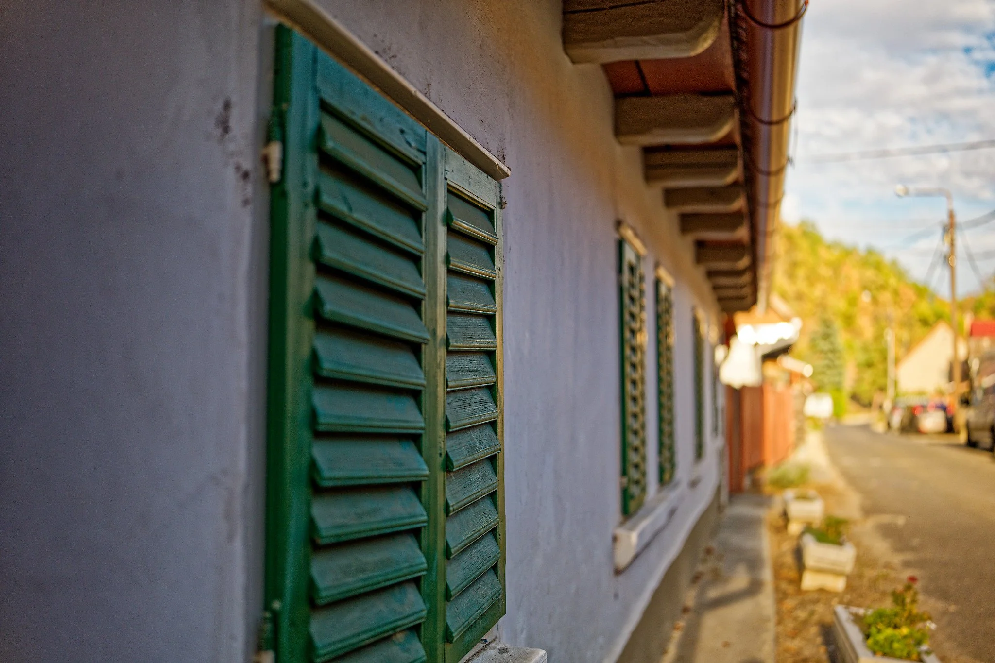 P1000979_DxO.jpg