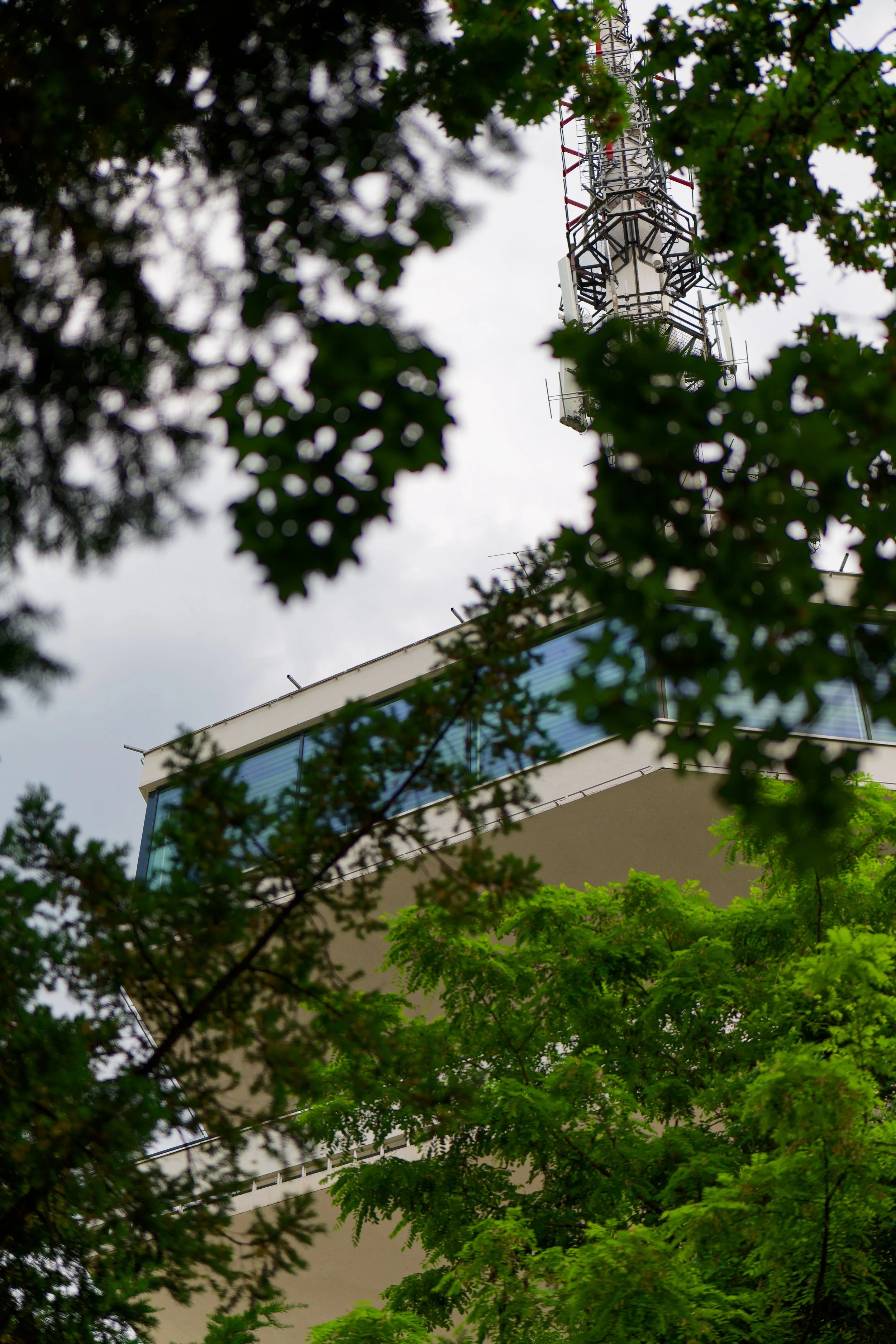 P1000473_DxO.jpg