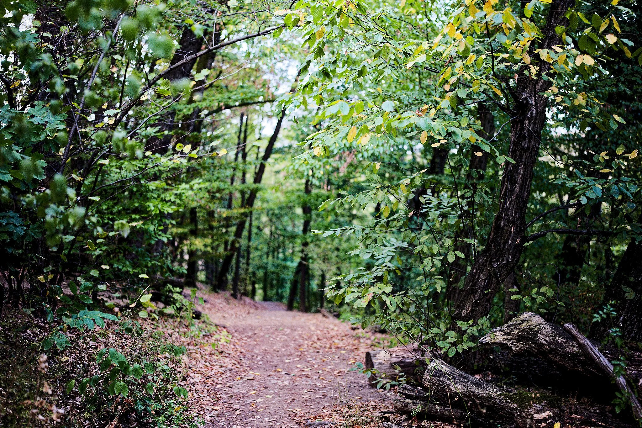 P1001004_DxO.jpg