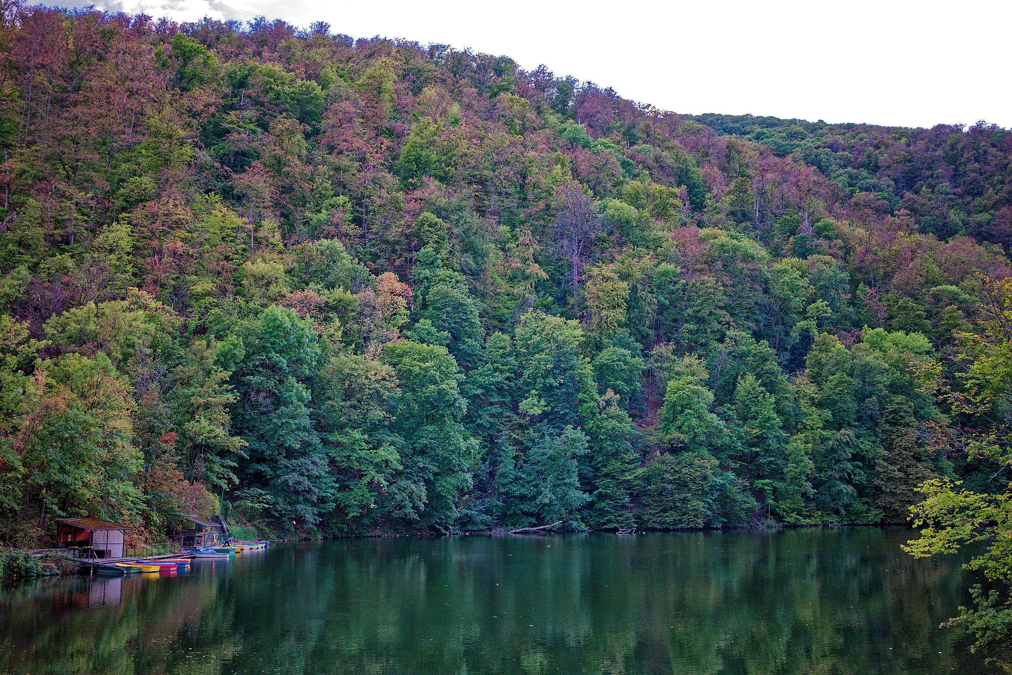 P1001018_DxO.jpg