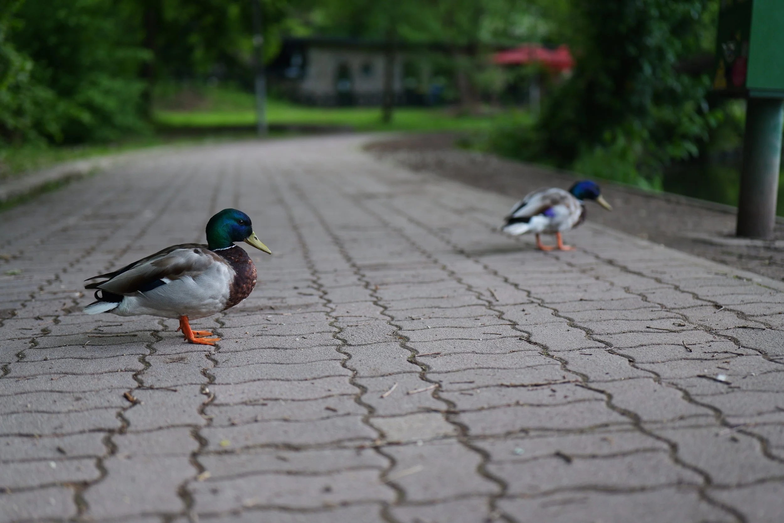 P1000103.JPG