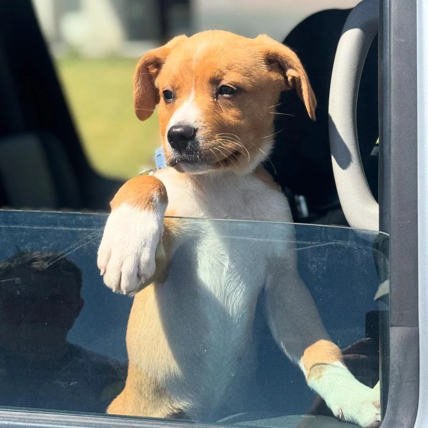 Road trip ready!