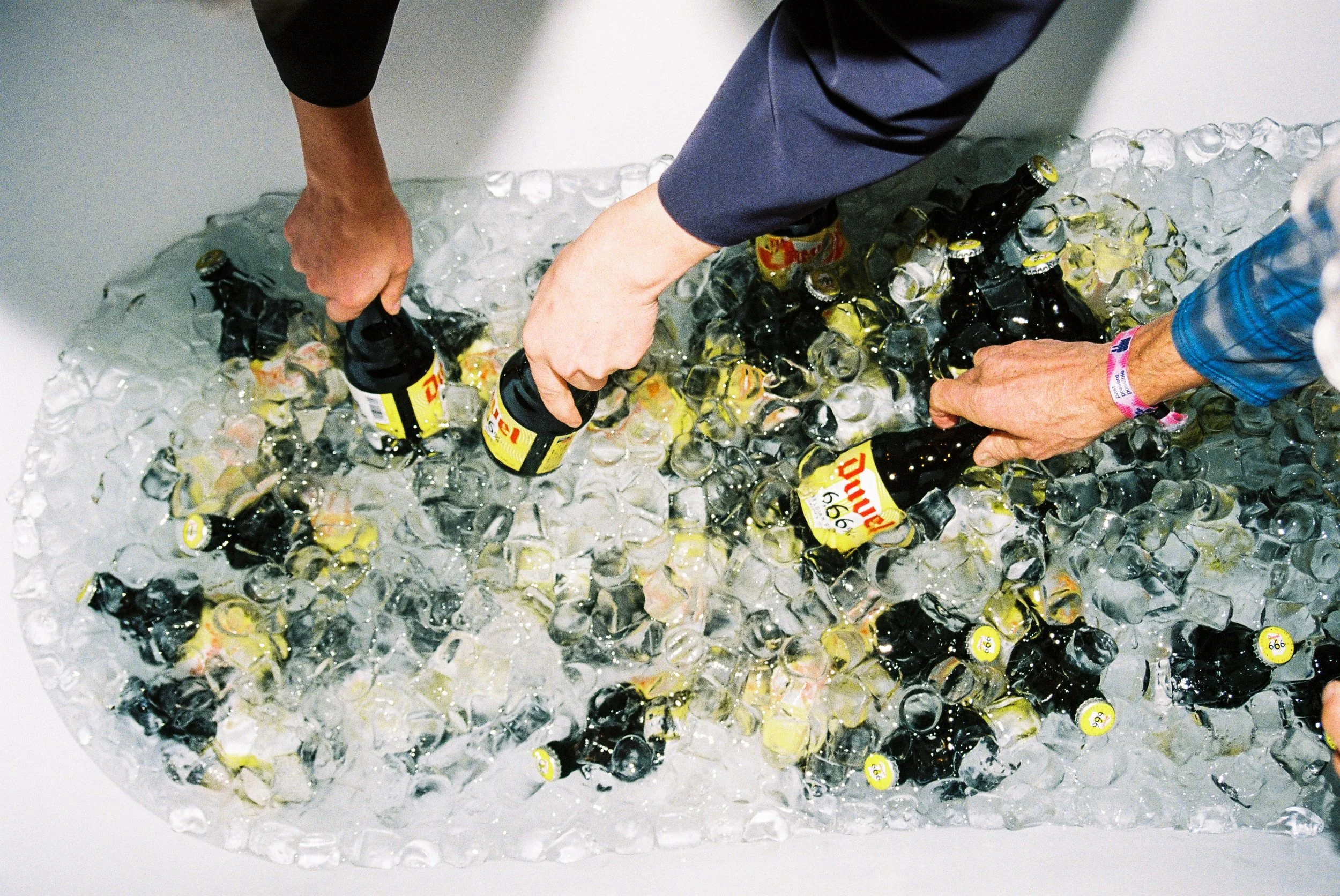 People placing beer bottles into a container filled with ice.