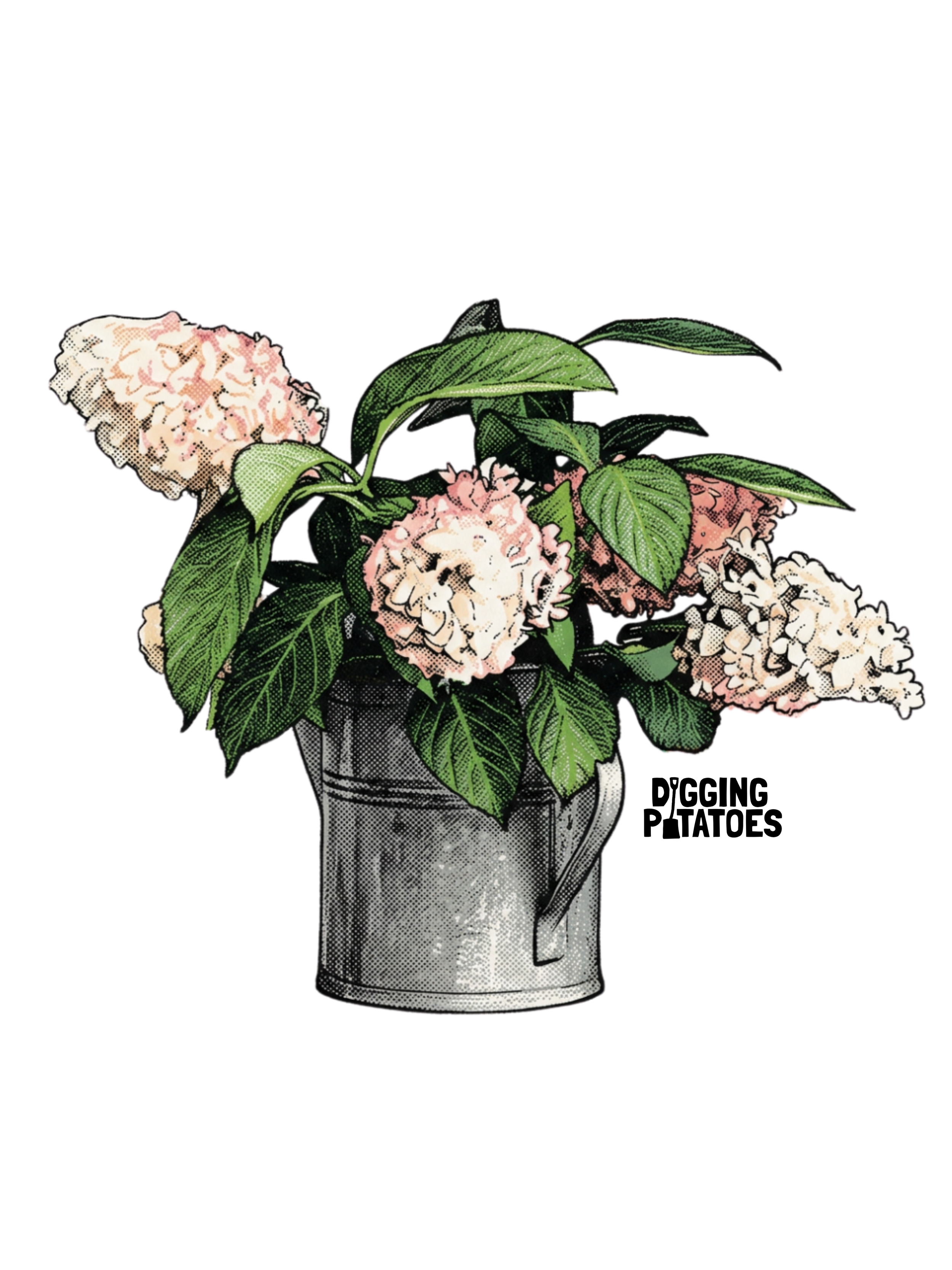 HYDRANGEA OF HOPE.png