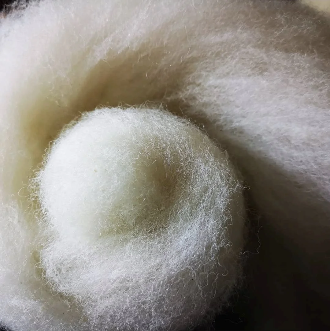 Close-up of a soft, white, fuzzy llama or alpaca wool fleece with fine fibers.