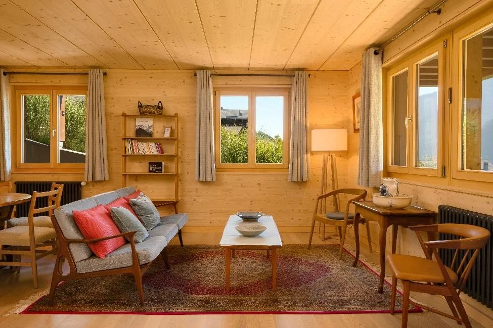 GG Oisseaux apart living room east side.jpg