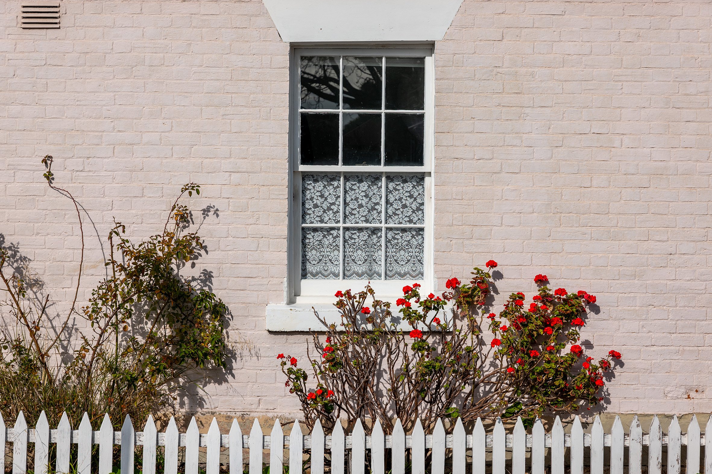 White brick house wall with a single window in the center, decorated with lace curtains, and a small garden with red flowering plants and shrubs in front, surrounded by a white picket fence.