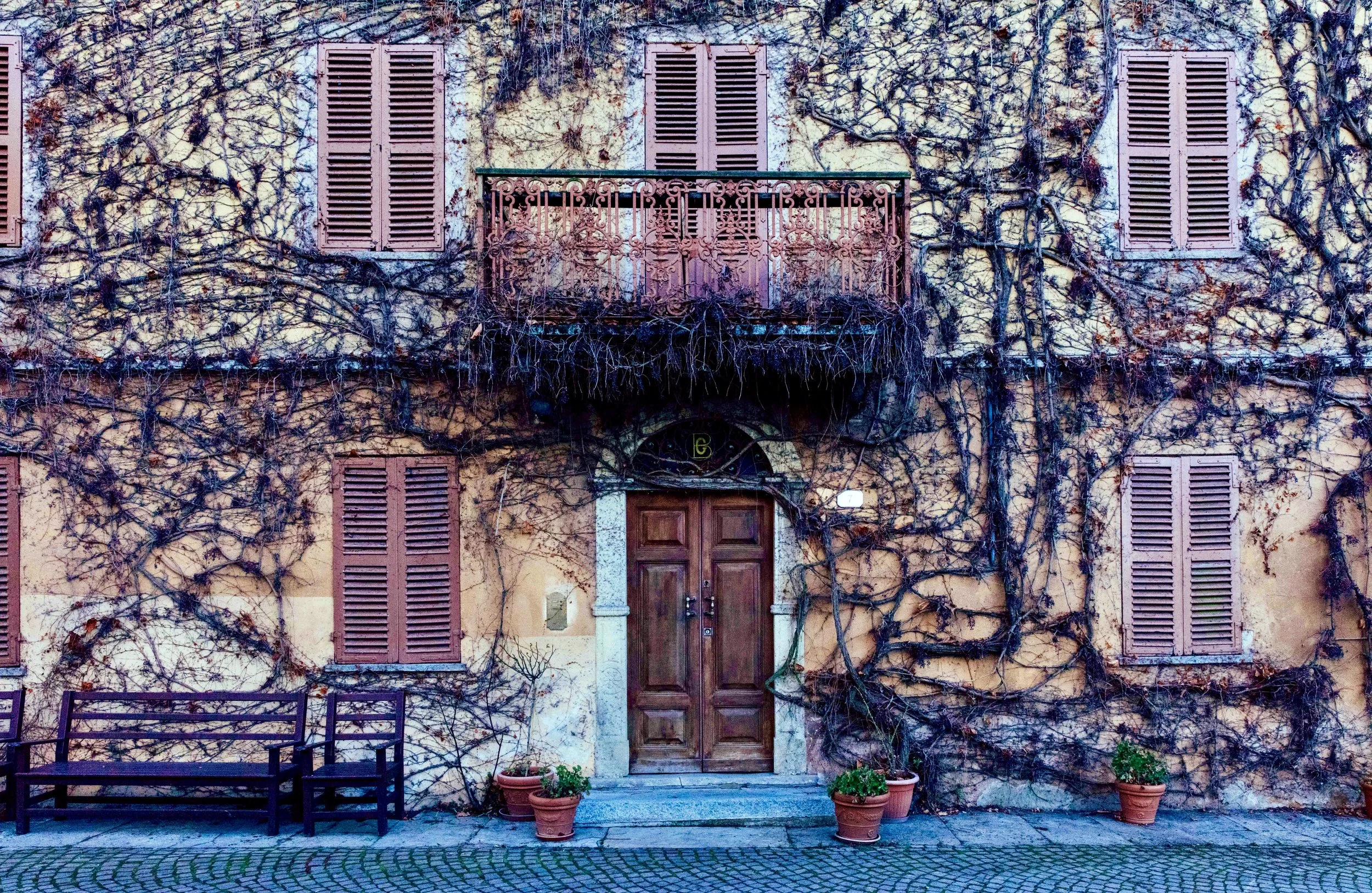 A building facade with multiple closed pink shutters, a wooden door, and climbing vines covering much of the wall. There is a small balcony above the door with a pink railing and three potted plants on the ground.