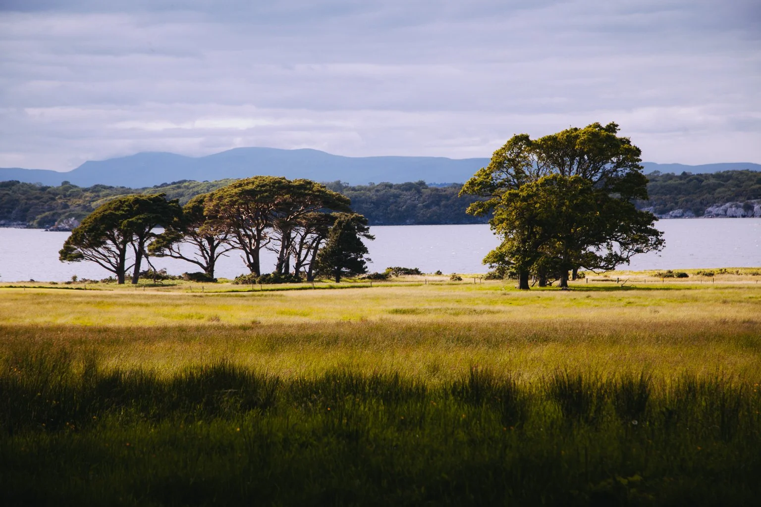Scenic view of a grassy field with trees near a body of water, mountains in the background, and cloudy sky overhead.