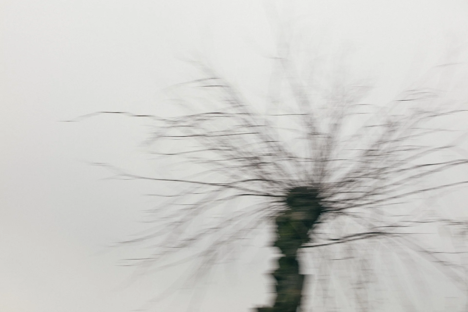 Blurred image of a leafless tree against a gray sky.