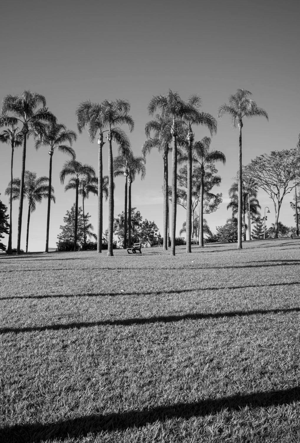 L1000076.jpg