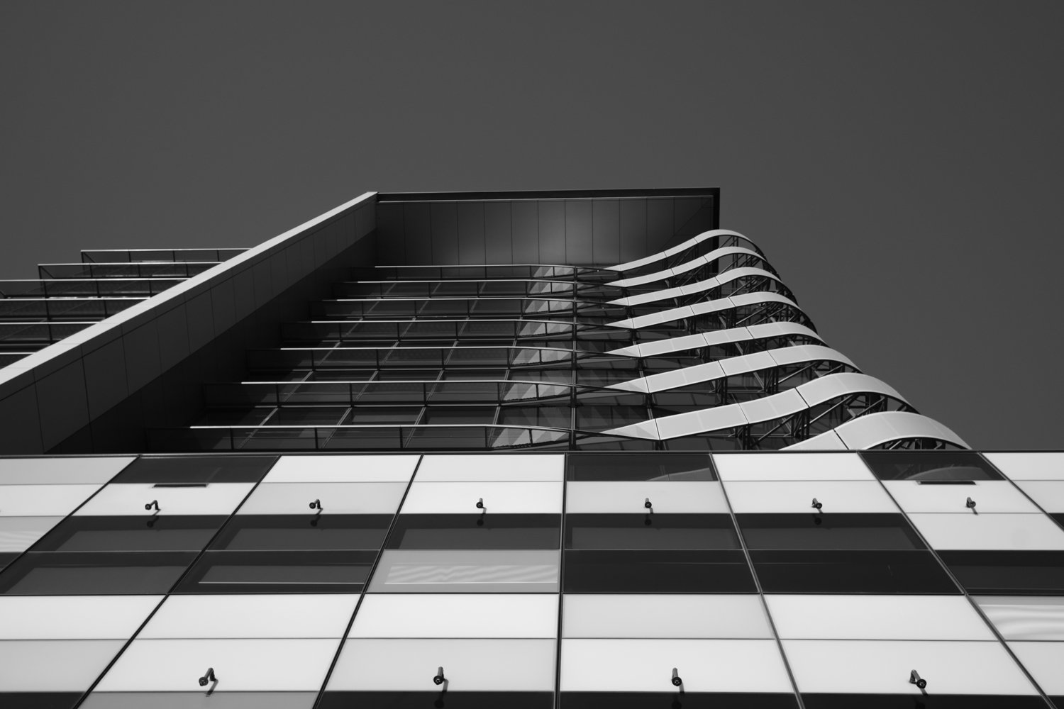 L1000219.jpg