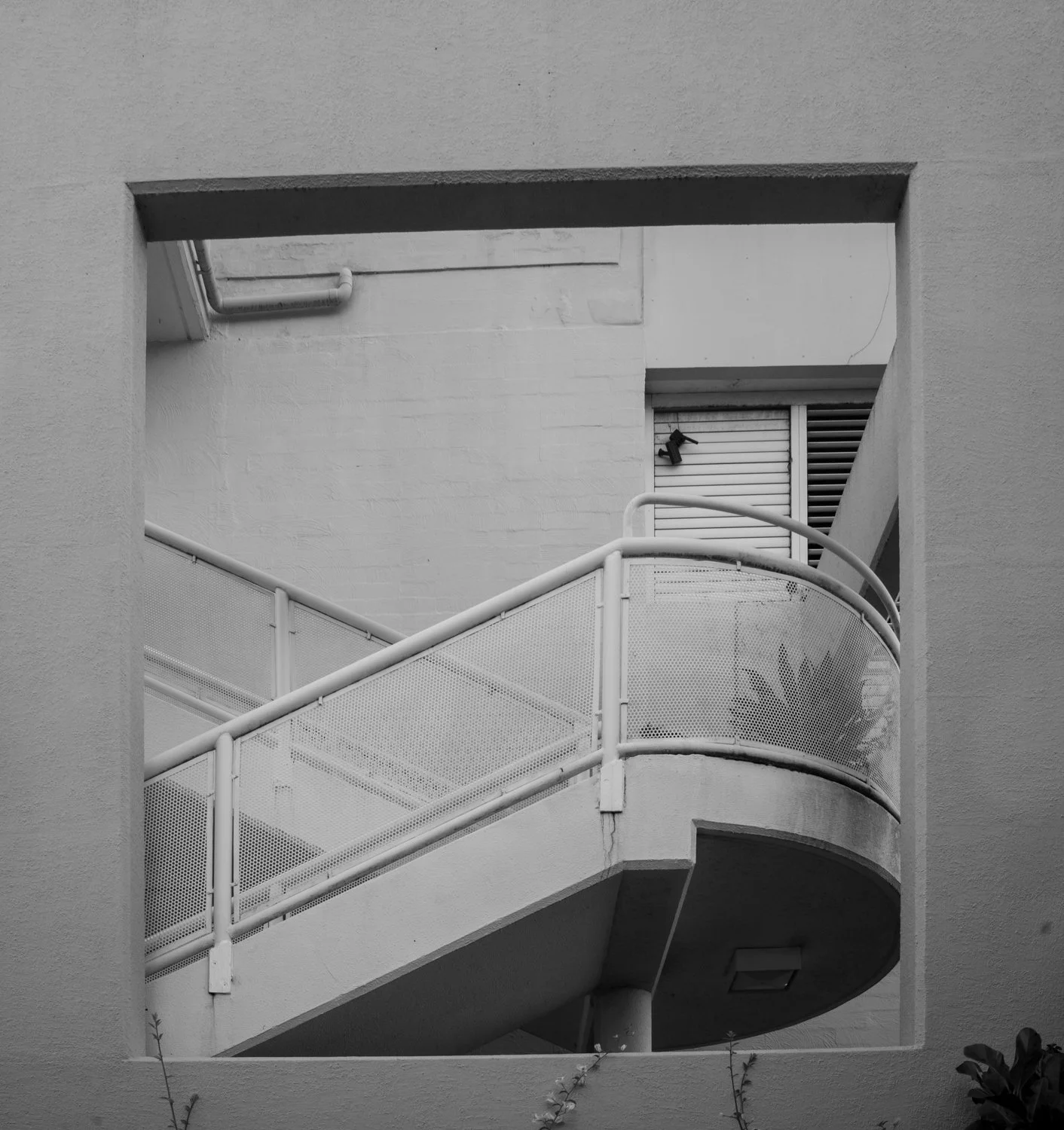 L1000283.jpg