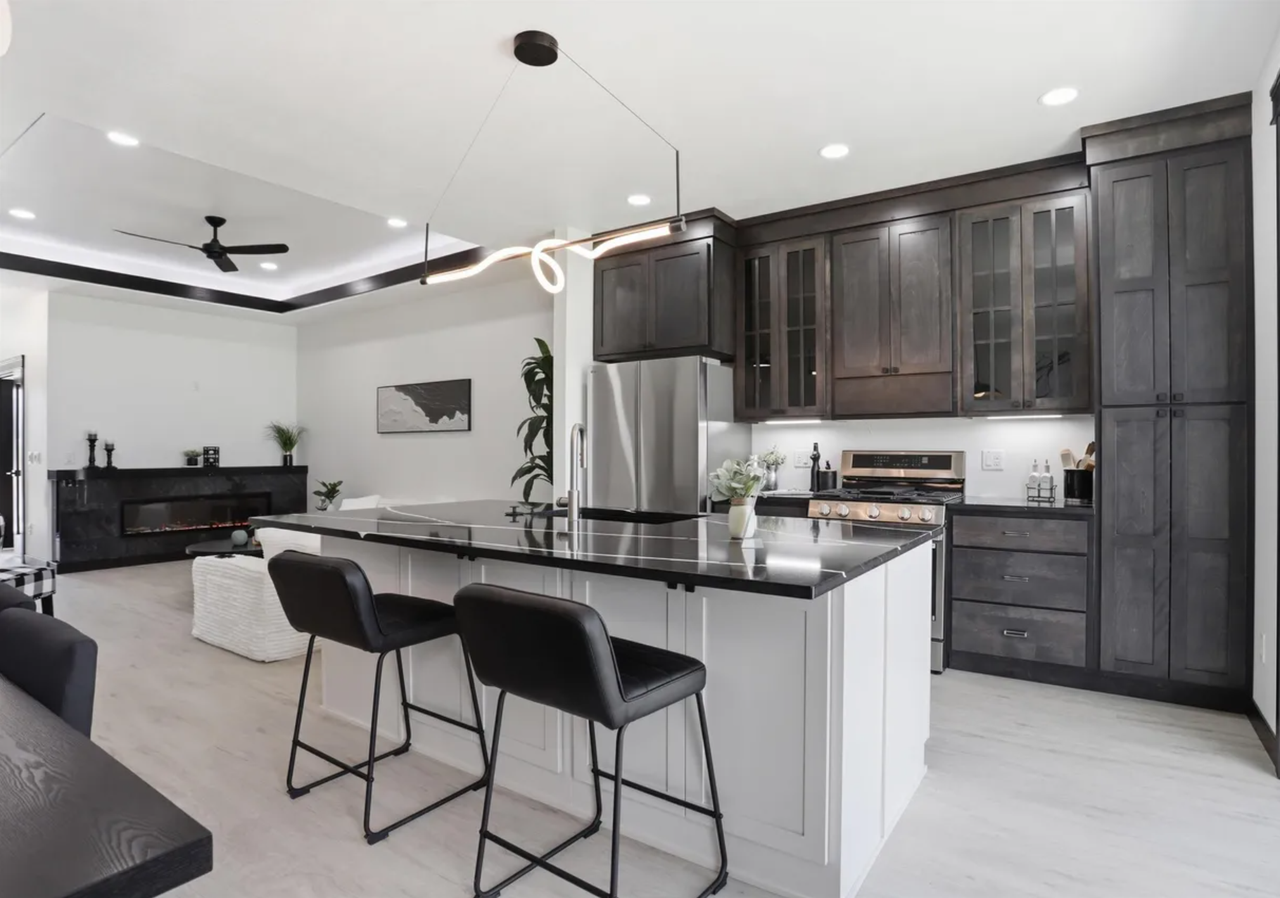 523 Living Room and Kitchen