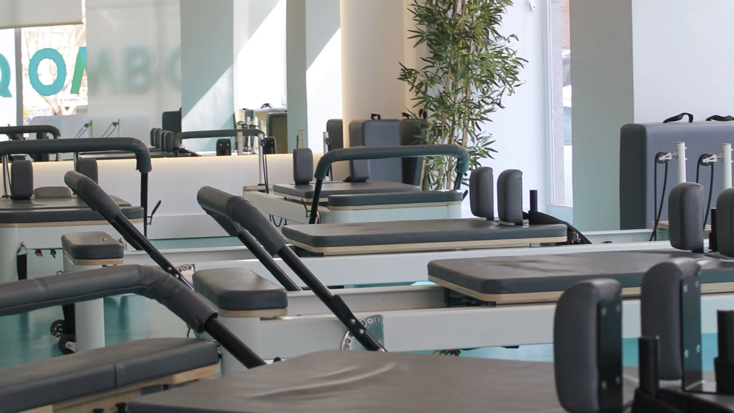 Interior de sala en qombo con varias máquinas de pilates y una planta decorativa junto a las ventanas