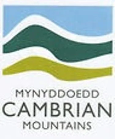 Illustration of the Cambrian Mountains with stylized green, dark green, and blue rolling hills and sky