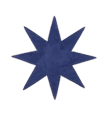 A blue, eight-pointed star with a textured appearance on a transparent background.