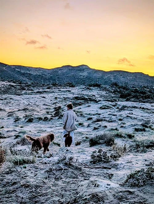 Person walking with a dog through a snowy, mountainous landscape at sunset.