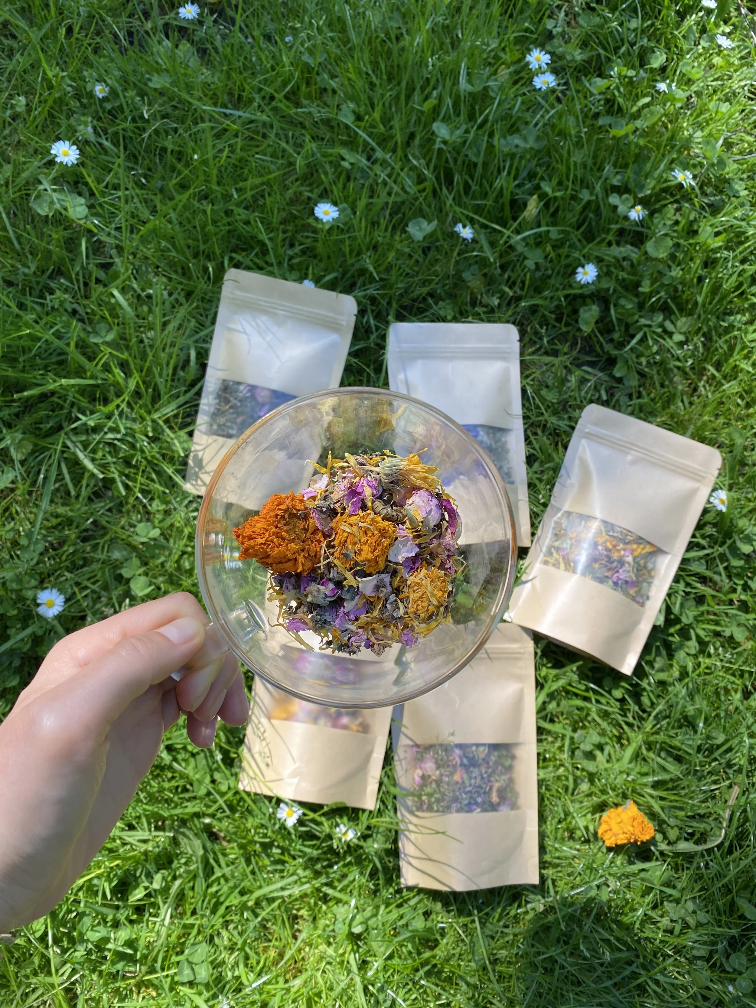 Radiant Bloom Guided Meditation and Journal Prompts