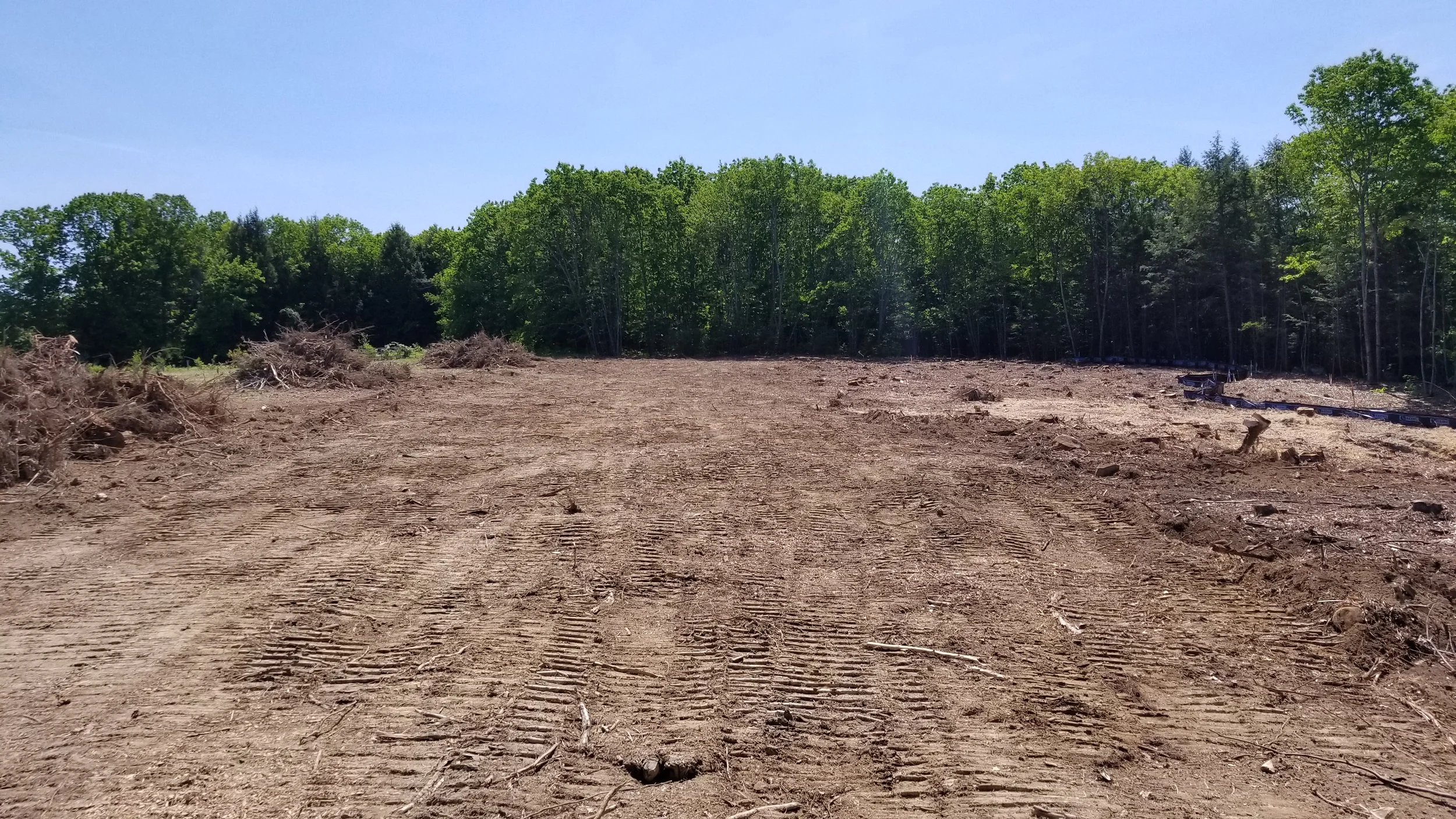 Recently cleared land with tire tracks, small bushes, and a forested background.