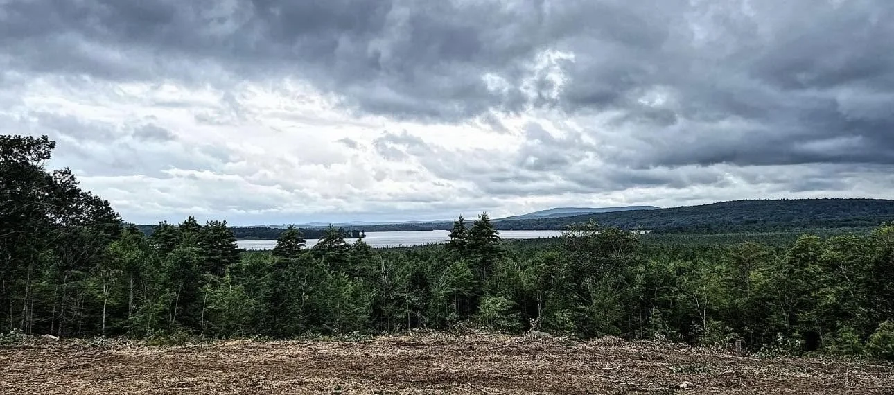 A natural landscape featuring a dense forest of tall green trees, a body of water in the background, and a cloudy sky overhead.
