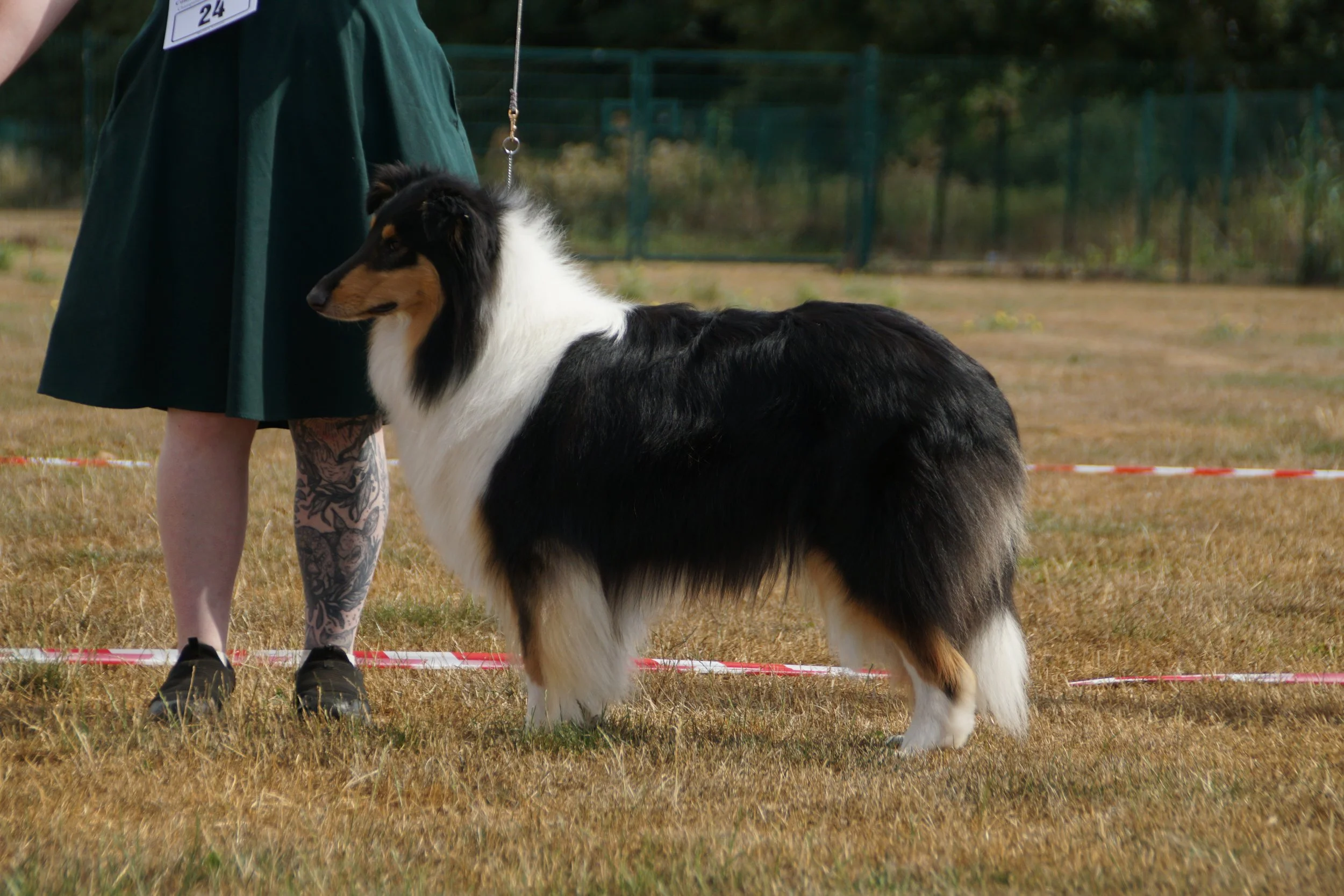 DSC08375.jpg