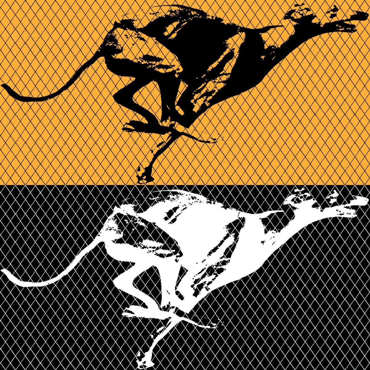 Diamond Dogs 7-6