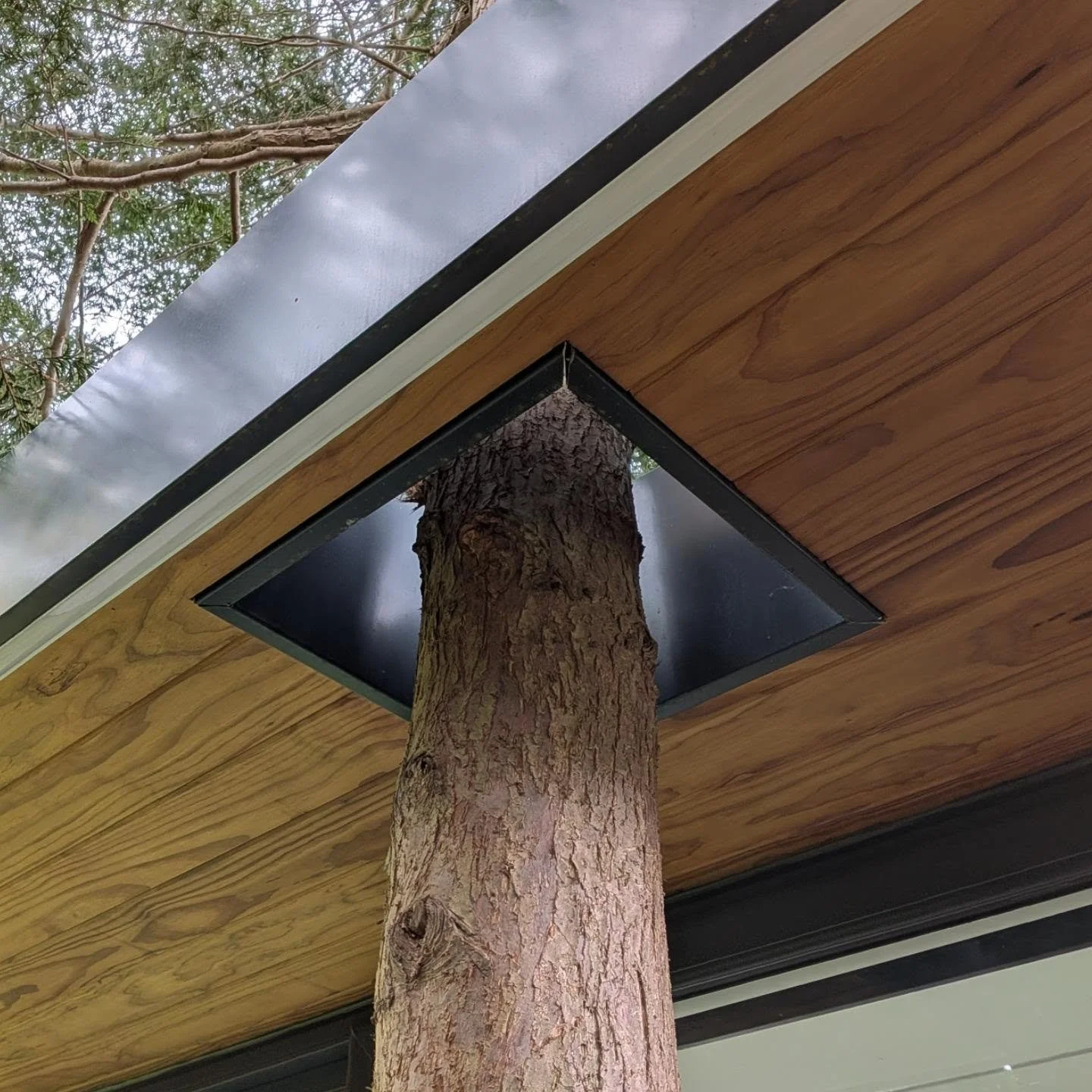 I love this detail @urbanpods have included in this Edinburgh garden. The client asked for the garden room to respect the existing trees in the garden and they certainly provided! Not just this, but a ground screw base avoids putting pressure on the 