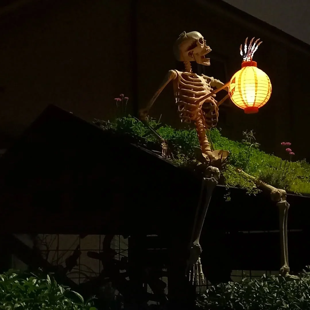 The real horror is how badly I need to weed that green roof! Happy Halloween 🎃 #halloween #edinburgh