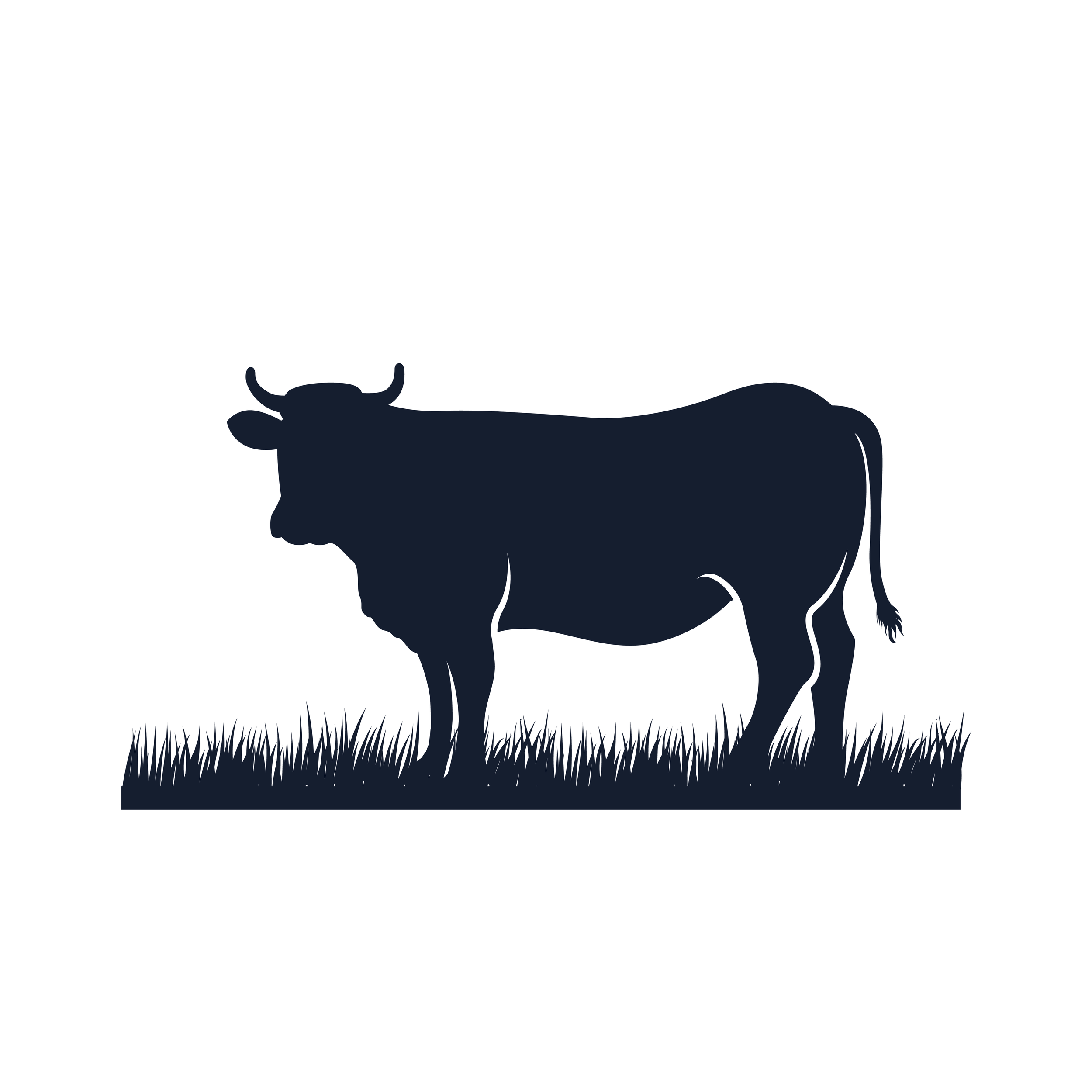 Beef meat  (Ukraine, Latin America)