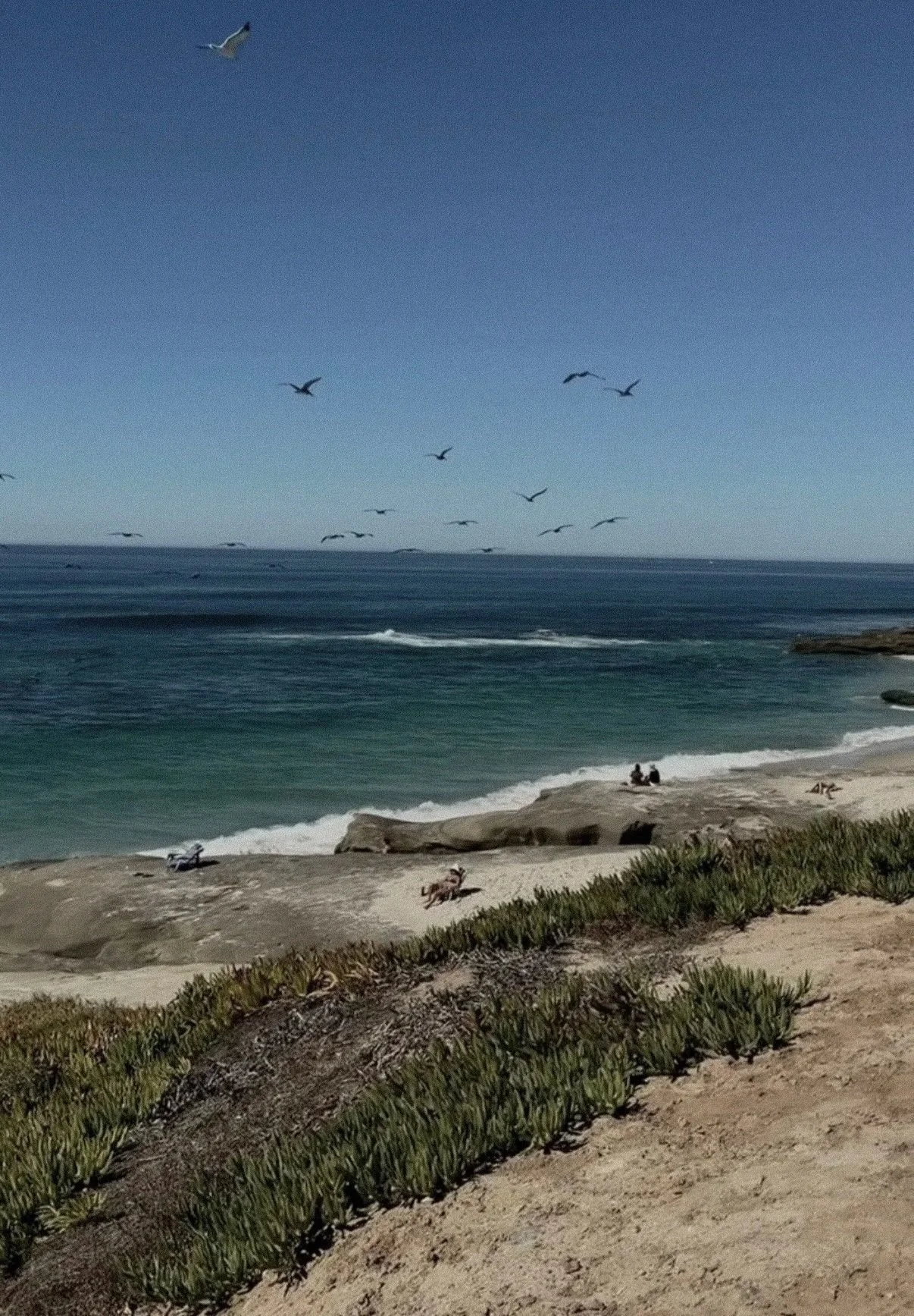 La Jolla coastline with ocean waves and beach views in San Diego, California.