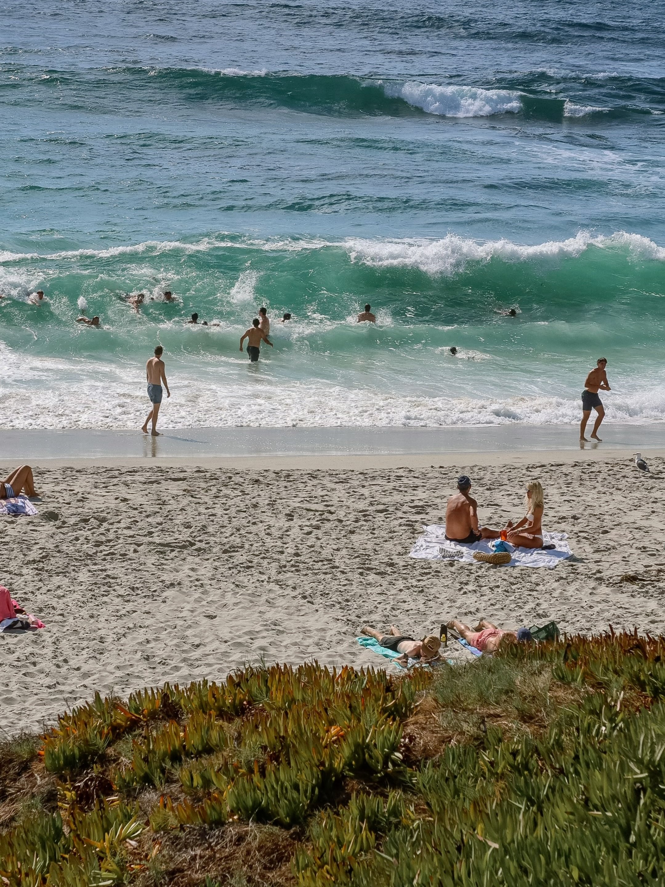 Proof that errands can be romantic when you live in La Jolla.

Bagels for the family, a coffee stop, groceries from our favorite little market, and a biweekly facial at Salt &amp; Rind.

Maybe it&rsquo;s the ocean air, maybe it&rsquo;s La Jolla, but 