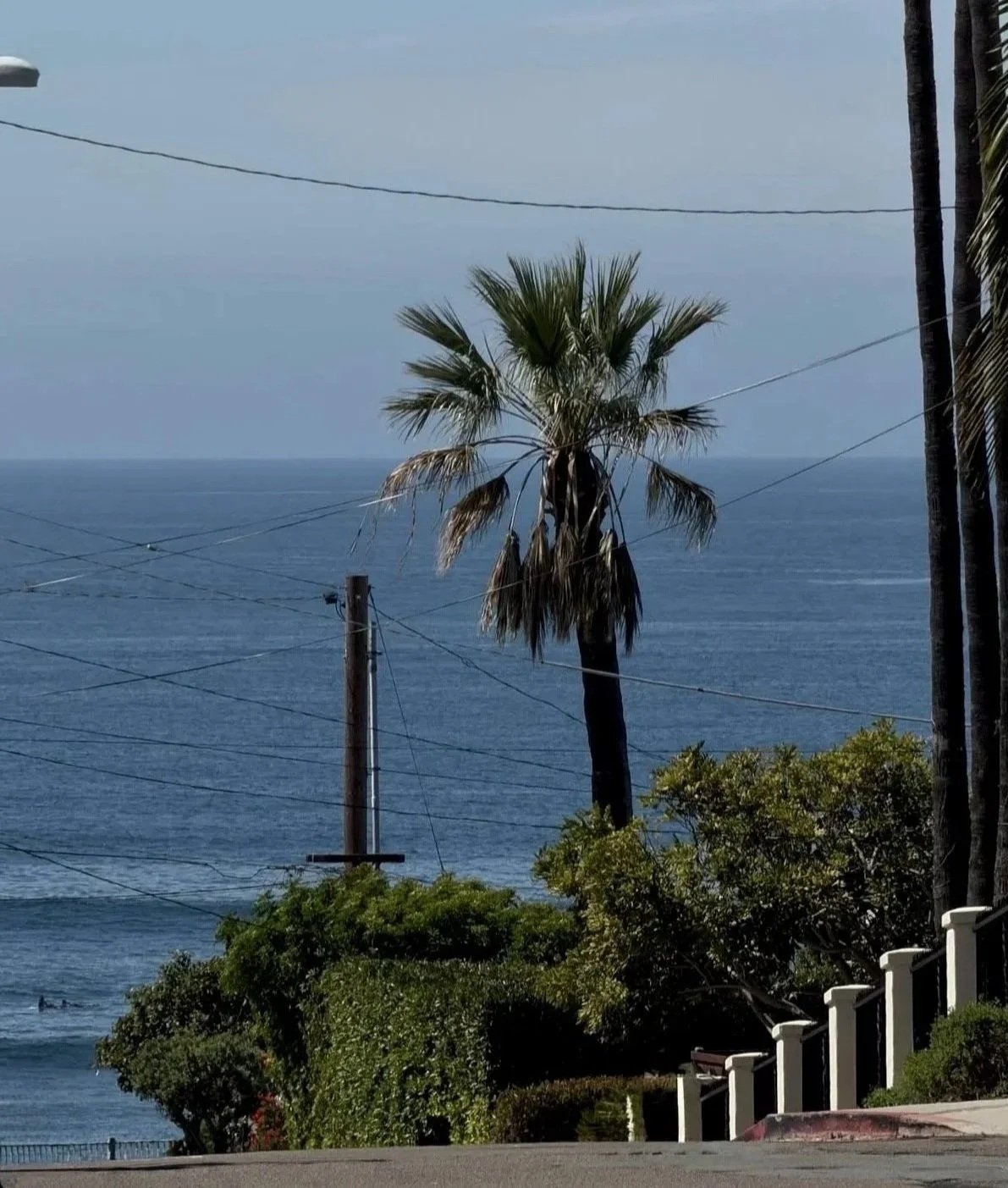 Coastal La Jolla, California near Salt & Rind skincare studio.
