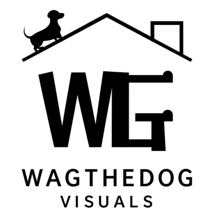 Wag the Dog Visuals