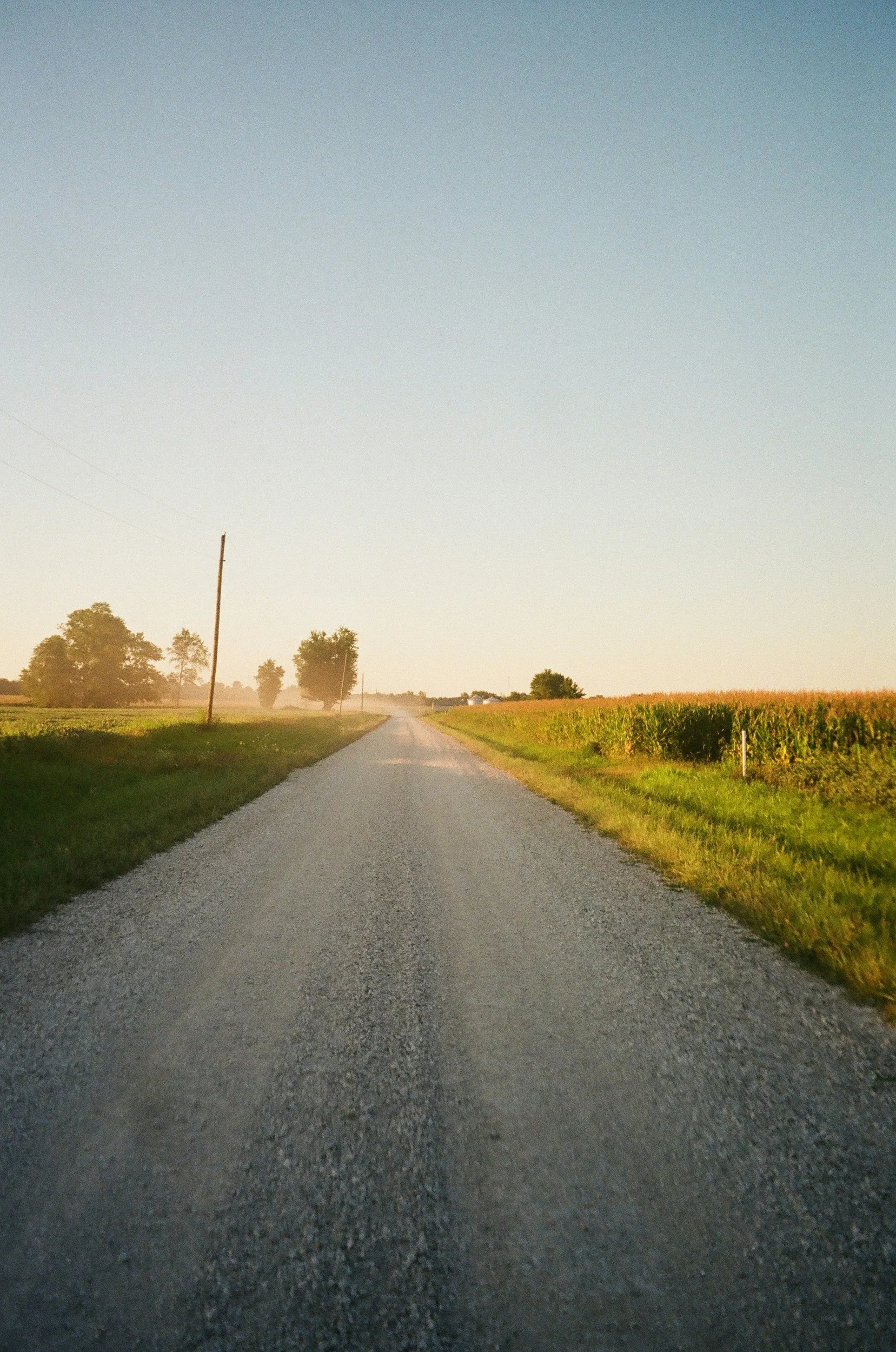 A rural gravel road running through fields with trees in the distance, under a clear sky during sunset or sunrise.