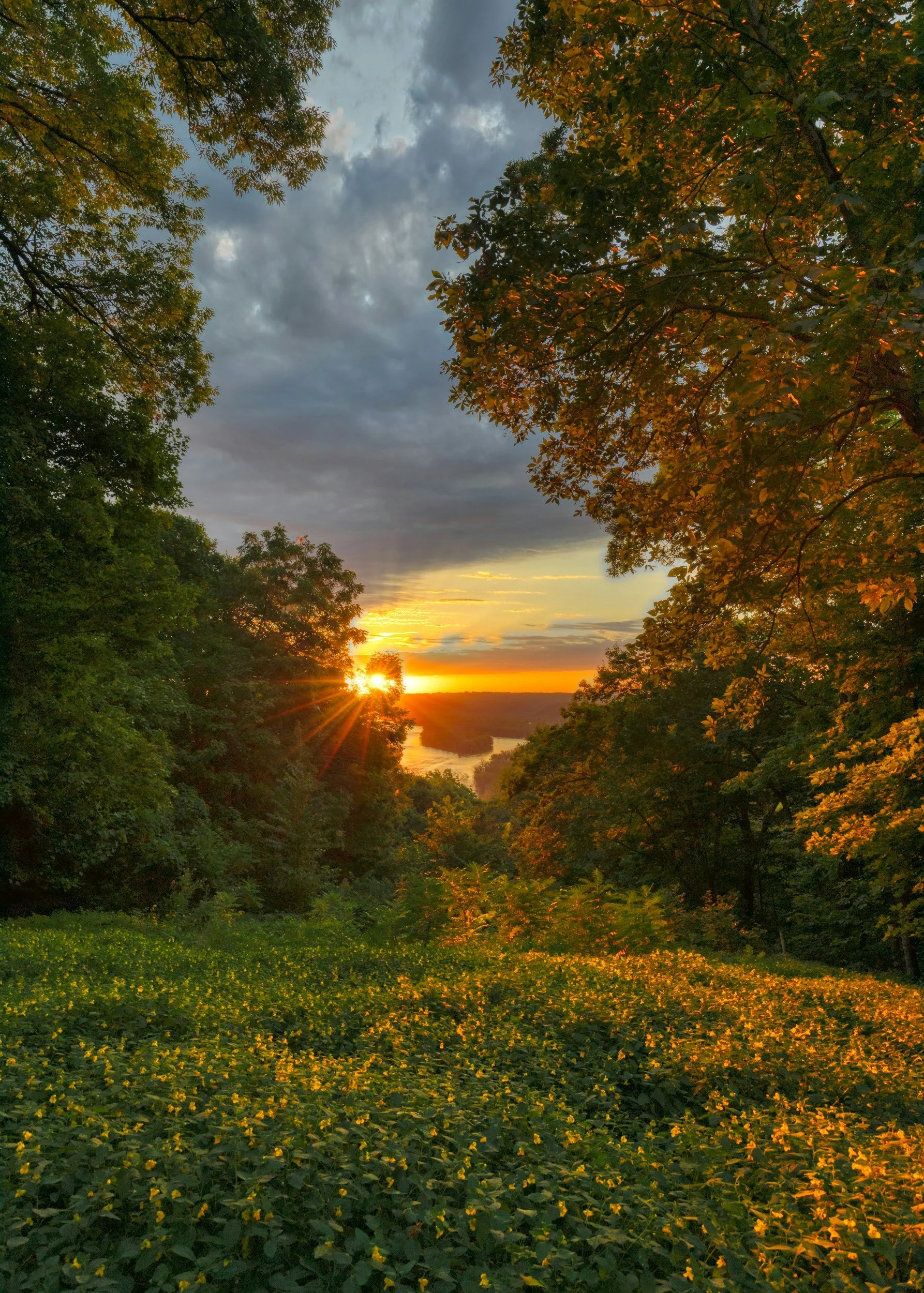 The image features a scenic view of a sunset over a river, surrounded by lush green trees. The sky is partly cloudy, with the sun setting on the horizon, casting a warm, golden glow across the scene.