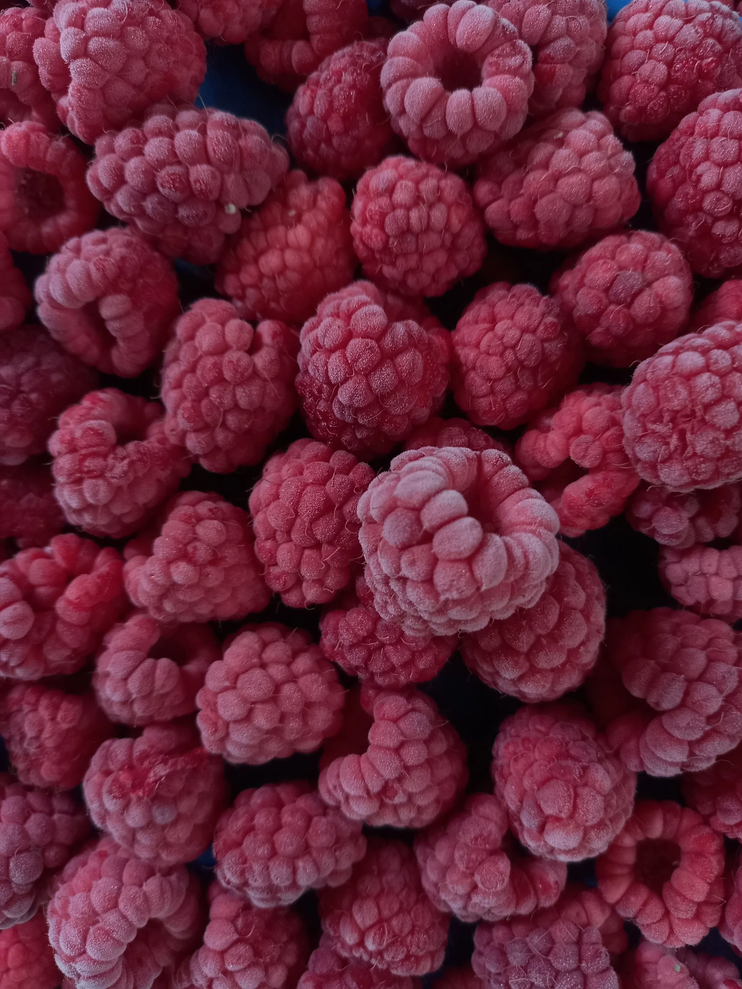 Freeze Dried Rasberries