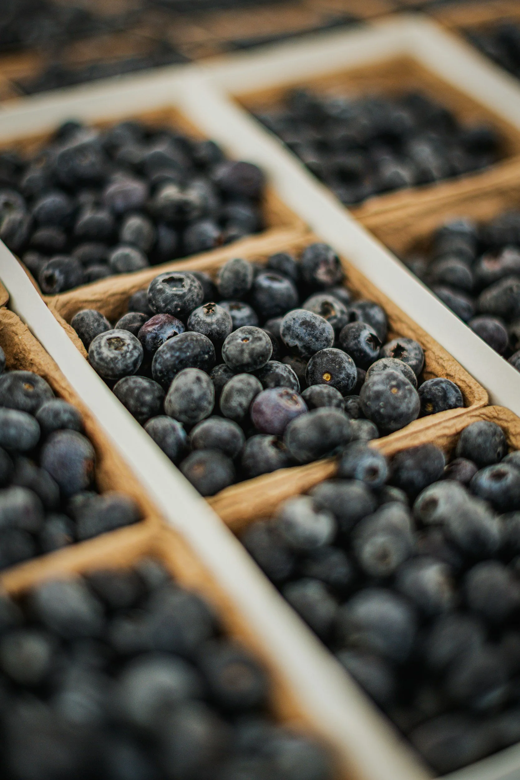 Freeze Dried Blueberries