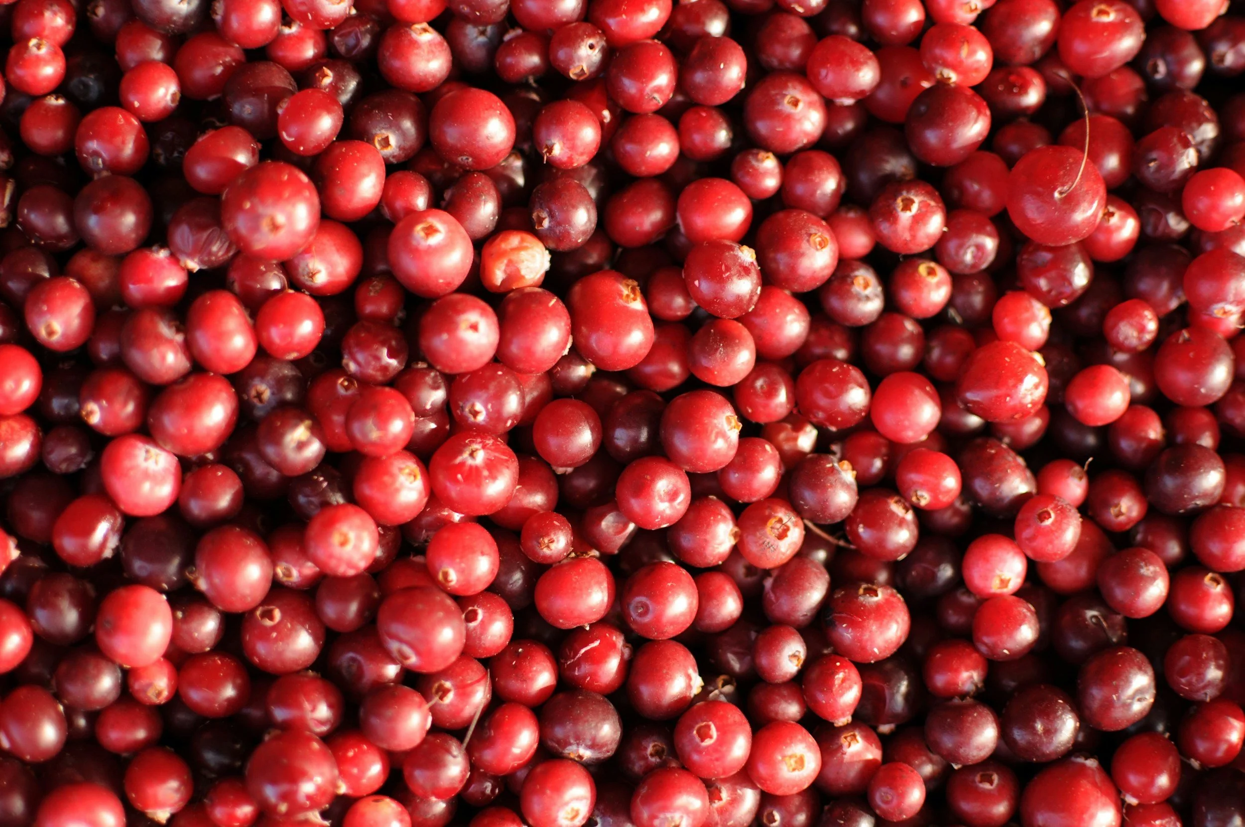 Cranberries Té La Vie