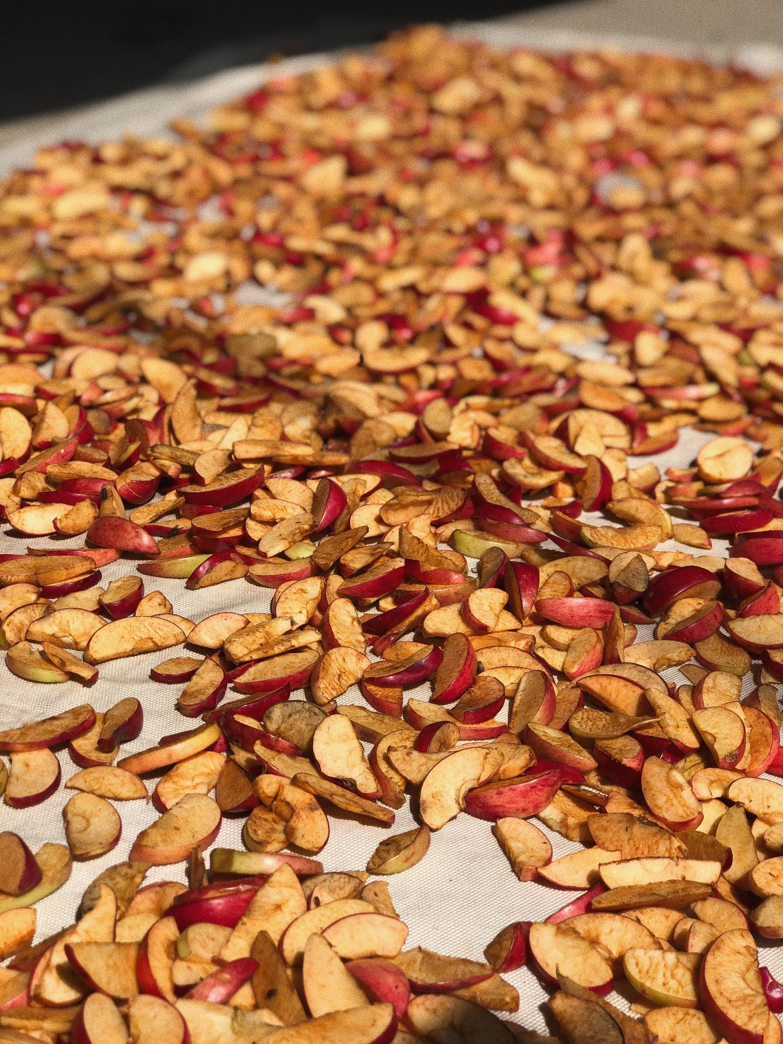 Freeze Dried Apple Slices