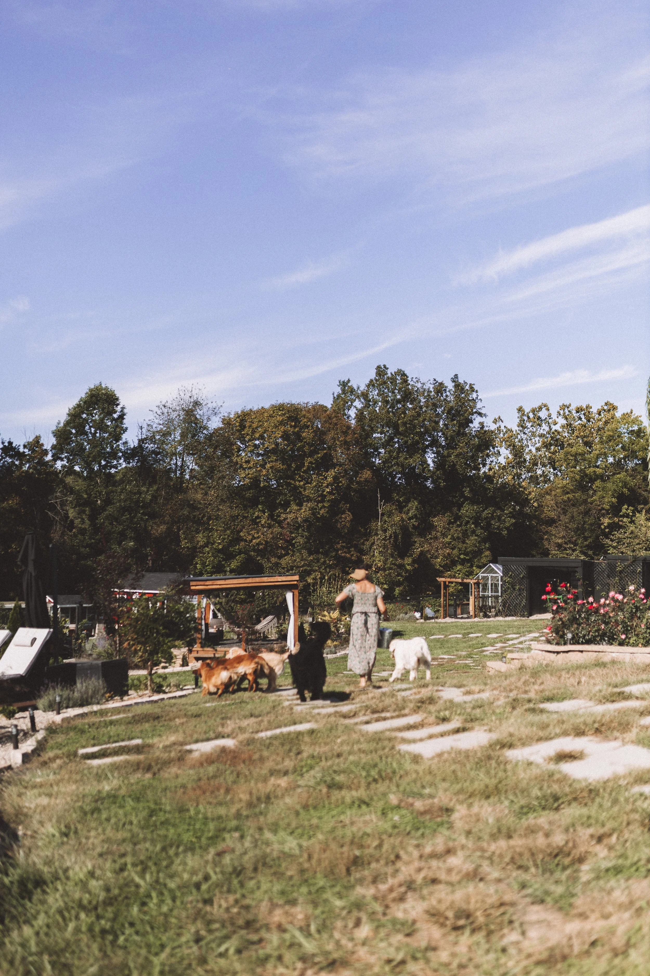 A person wearing a patterned dress standing in a garden with several dogs, with trees and blue sky in the background.