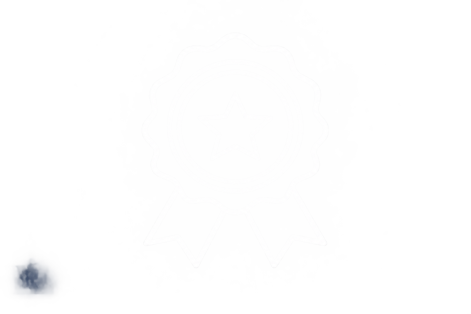 Neon sign in the shape of a ribbon awarding a star, glowing white against a dark background.